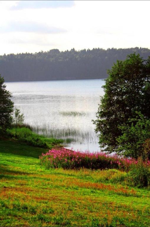 Sarpsborg Vandrerhjem Tuneheimen Exterior foto